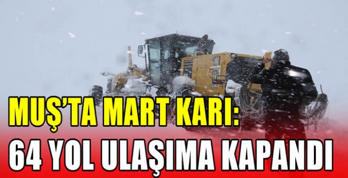 Muş'ta mart karı: 64 yol ulaşıma kapandı