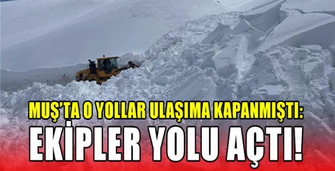 Muş’ta o yollar ulaşıma kapanmıştı: Ekipler yolu açtı!