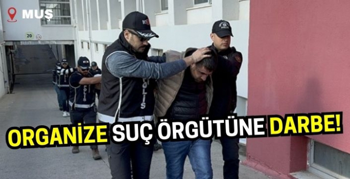 Muş’ta organize suç örgütü operasyonu: Çok sayıda tutuklama!