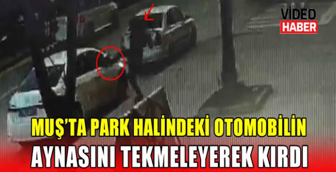 Muş’ta park halindeki otomobilin aynasını tekmeleyerek kırdı