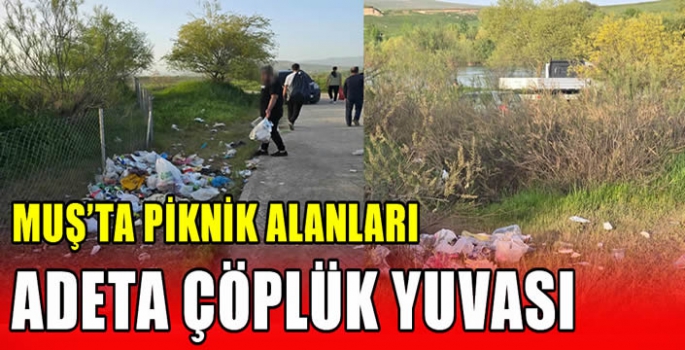 Muş’ta piknik alanları adeta çöplük yuvası