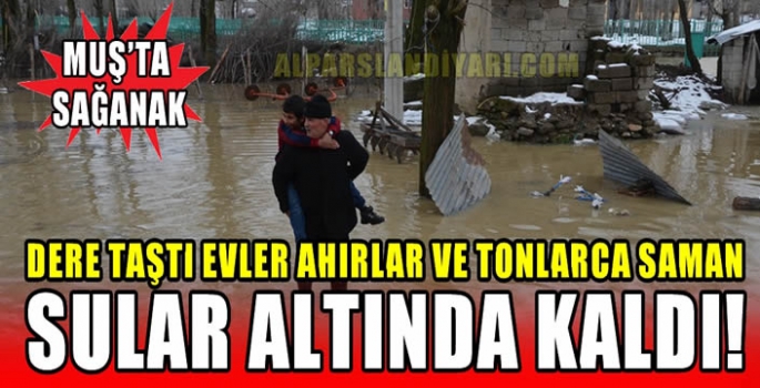 Muş'ta sağanak: Dere taştı evler ahırlar ve tonlarca saman sular altında kaldı!