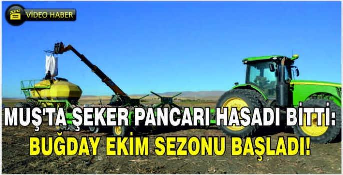 Muş'ta şeker pancarı hasadı bitti: Buğday ekim sezonu başladı!