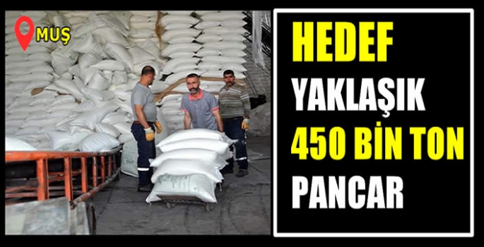 Muş'ta şeker pancarında rekor bekleniyor: Tam 2 milyar 400 milyon TL...