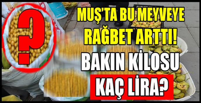 Muş’ta şifa deposu: Bu meyveye rağbet arttı! Bakın kilosu kaç lira?