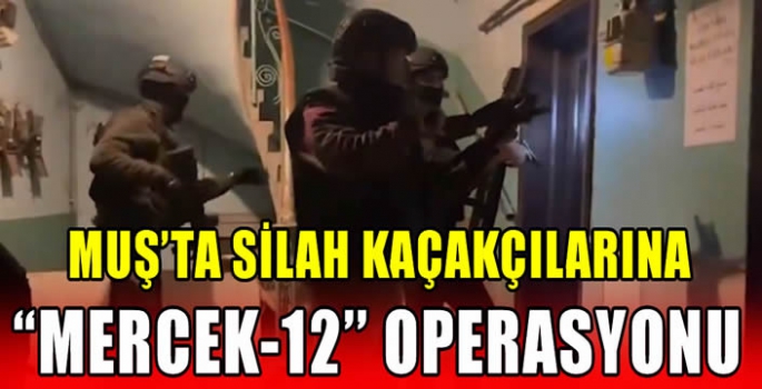 Muş’ta silah kaçakçılarına ''Mercek-12'' operasyonu 