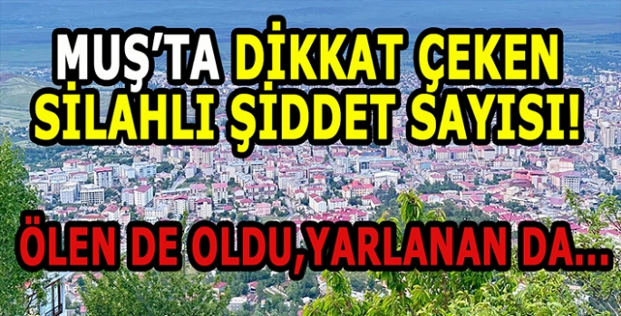 Muş’ta silahlı şiddet! 2024 Yılında Muş’ta kaç kişi Silahla öldü?