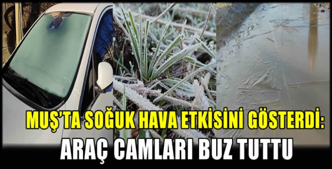 Muş’ta soğuk hava etkisini gösterdi: Araç camları buz tuttu