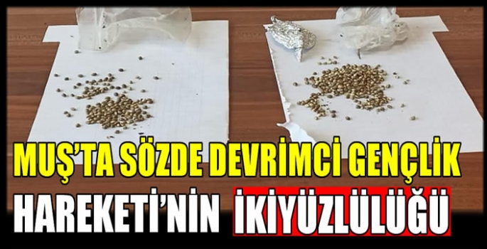 Muş'ta sözde Devrimci Gençlik Hareketi’nin ikiyüzlülüğü