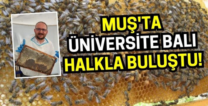 Muş'ta süzme bal ve petek balın kilogram ücreti belli oldu!