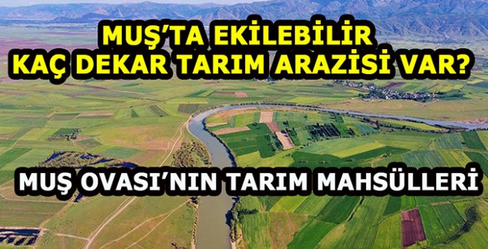 Muş’ta tarım arazilerinin yıllara göre değişimi: Muş’ta kaç dekar tarım arazisi var ve tarım arazilerinde neler yetiştiriliyor?