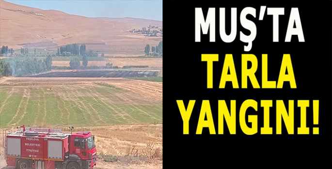 Muş’ta tarla yangını: Bir tarla daha küle döndü