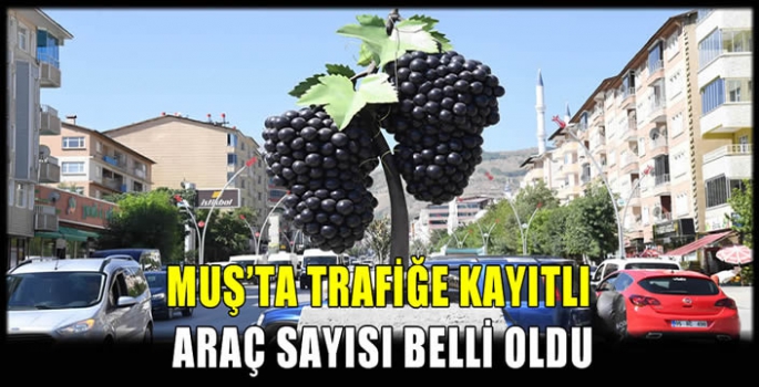 Muş’ta trafiğe kayıtlı araç sayısı belli oldu