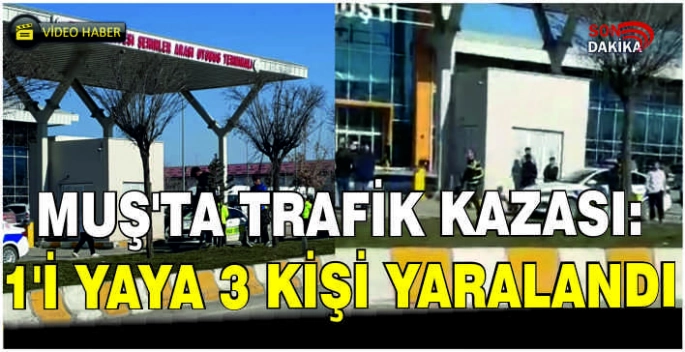 Muş’ta trafik kazası: 1’i yaya 3 kişi yaralandı