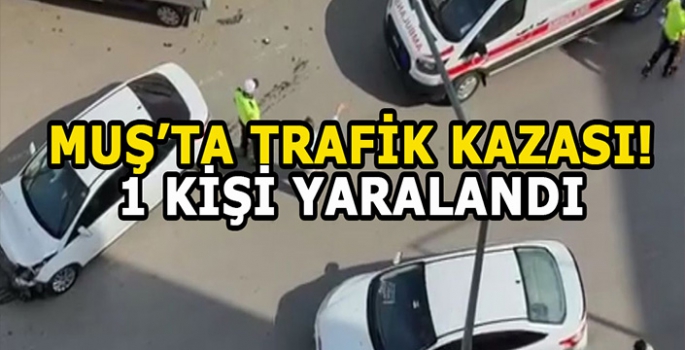 Muş'ta trafik kazası: 1 Kişi yaralandı