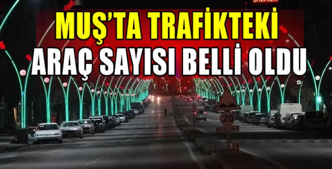 Muş’ta trafikteki araç sayısı belli oldu 