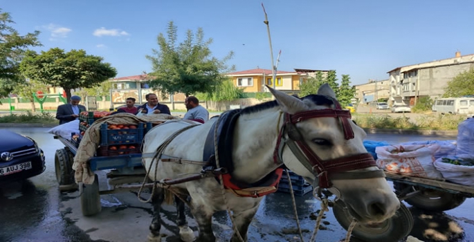 Muş’ta ürettikleri sebzeleri paytonlara yükleyip satıyorlar