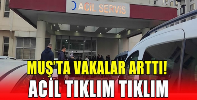 Muş’ta vakalar arttı! Acil tıklım tıklım…