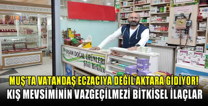 Muş’ta vatandaş eczacıya değil aktara gidiyor! Kış mevsiminin vazgeçilmezi bitkisel ilaçlar