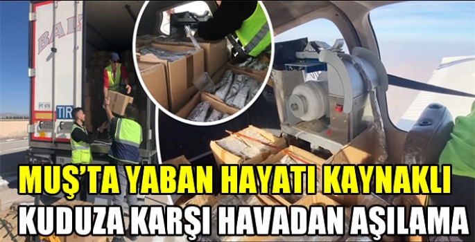 Muş’ta yaban hayatı kaynaklı kuduza karşı havadan aşılama