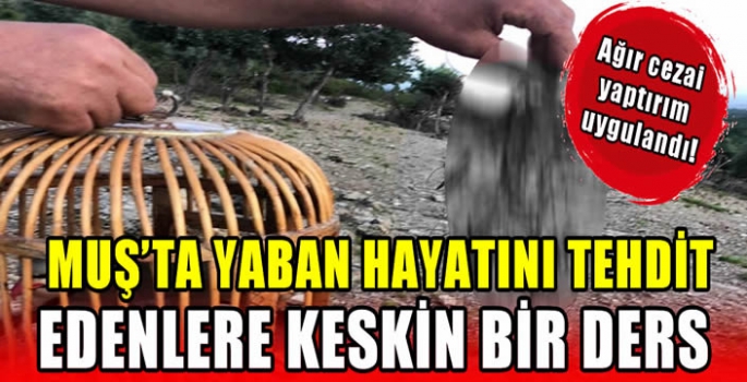 Muş'ta yaban hayatını tehdit edenlere keskin bir ders: Ağır cezai yaptırım uygulandı!