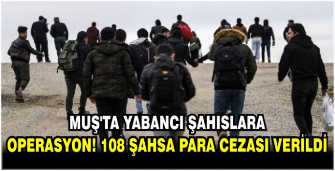 Muş’ta yabancı şahıslara operasyon! 108 şahsa para cezası verildi