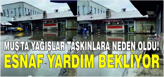 Muş’ta yağışlar taşkınlara neden oldu! Esnaf yardım bekliyor