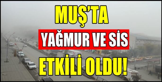 Muş'ta yağmur ve sis etkili oldu! Görüş mesafesi 30 metreye kadar düştü