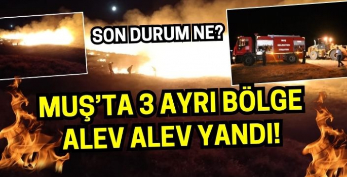 Muş’ta yangınlar büyüdü: 3 ayrı bölge alev alev yandı!