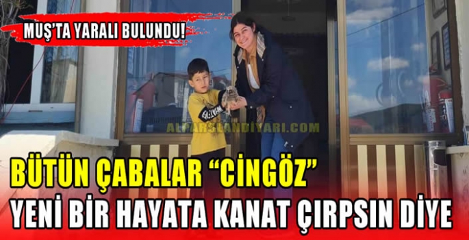 Muş’ta yaralı bulundu! Bütün çabalar 