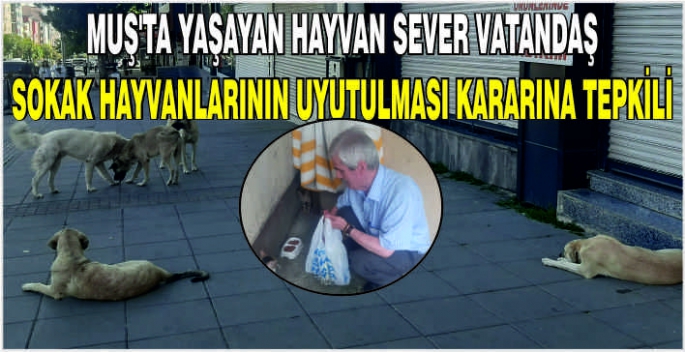 Muş’ta yaşayan hayvan sever vatandaş sokak hayvanlarının uyutulması kararına tepkili