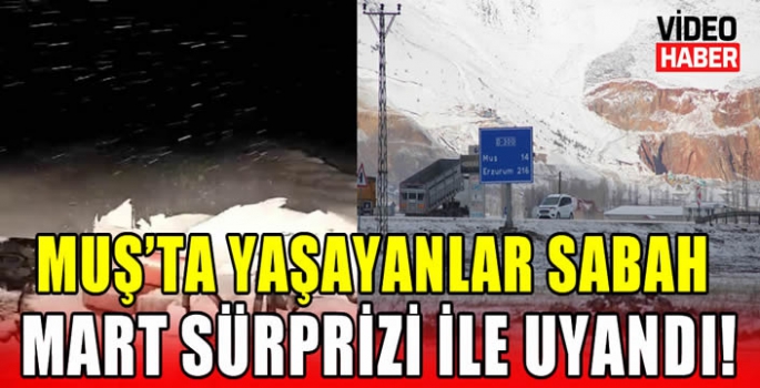 Muş’ta yaşayanlar sabah Mart sürprizi ile uyandı!