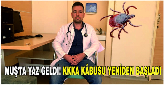 Muş’ta yaz geldi! KKKA kâbusu yeniden başladı