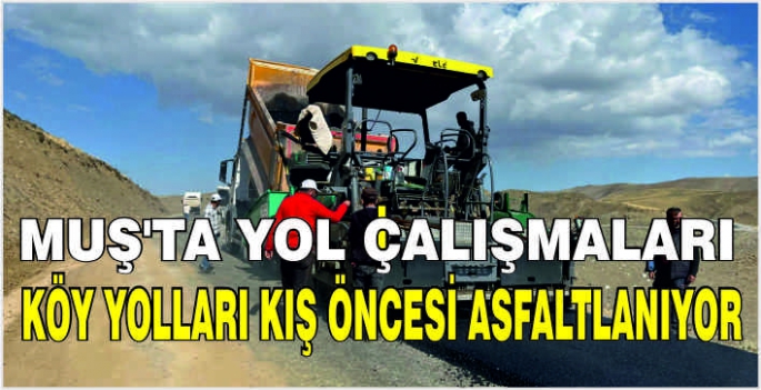 Muş'ta yol çalışmaları: Köy yolları kış öncesi asfaltlanıyor