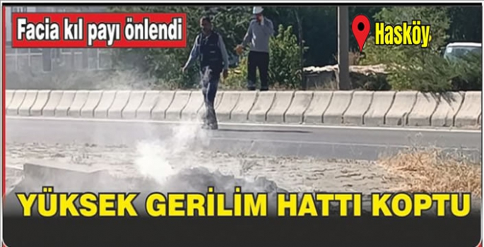 Muş’ta yüksek gerilim hattı karayoluna düştü! Trafik kitlendi, elektrikler kesildi