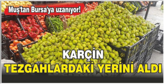 Muş’tan Bursa’ya uzanıyor! Tezgâhlardaki yerini alan karçinin fiyatı belli oldu