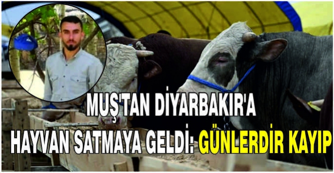 Muş'tan Diyarbakır'a hayvan satmaya geldi: Günlerdir kayıp