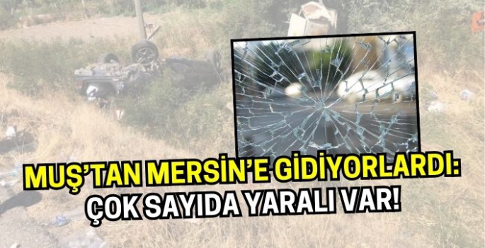 Muş’tan Mersin’e giden otomobil kaza yaptı: Çok sayıda yaralı var!