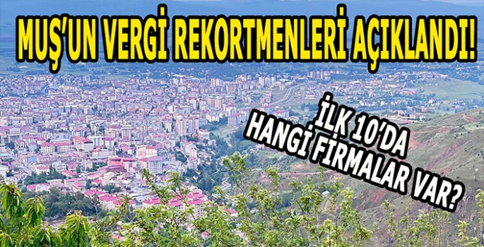 Muş'un 2023 yılı kurumlar vergisi rekortmenleri belli oldu! İlk 10’da hangi kurumlar var?