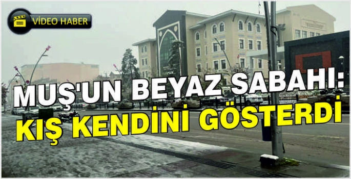 Muş’un beyaz sabahı: Kış kendini gösterdi