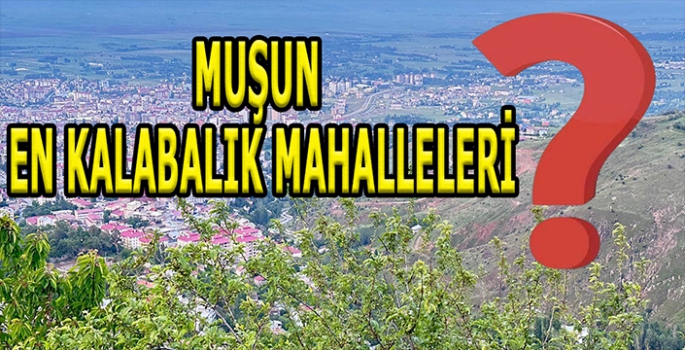 Muş'un en kalabalık mahallesini öğrendik: Muş’ta en kalabalık mahalle hangisi?