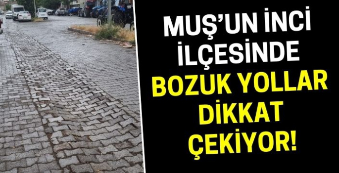 Muş’un inci ilçesinin başı bozuk yollarla dertte!