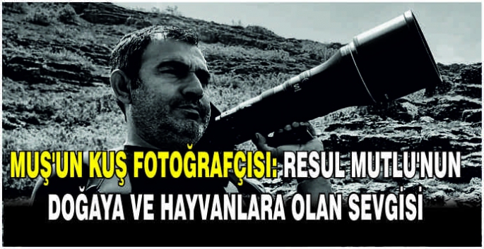 Muş’un Kuş Fotoğrafçısı: Resul Mutlu’nun doğaya ve hayvanlara olan sevgisi