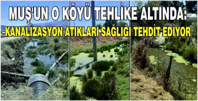 Muş’un o köyü tehlike altında: Kanalizasyon atıkları sağlığı tehdit ediyor