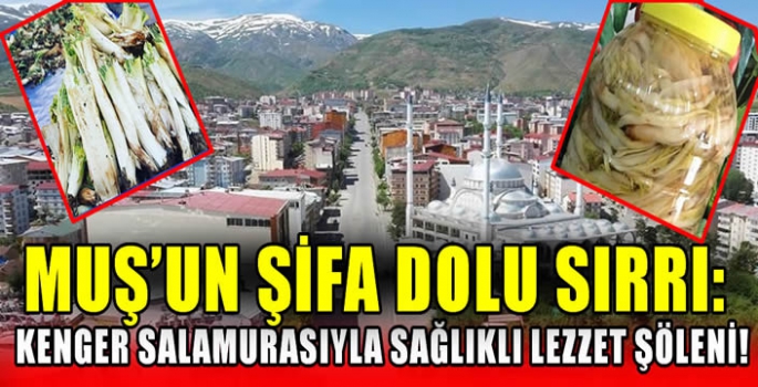 Muş'un şifa dolu sırrı: Kenger salamurasıyla sağlıklı lezzet şöleni!