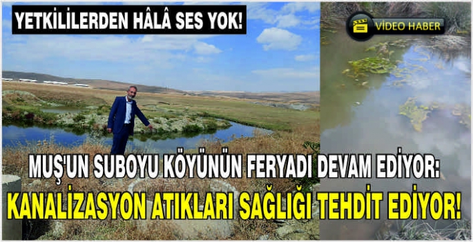 Muş’un Suboyu köyünün feryadı devam ediyor: Kanalizasyon atıkları sağlığı tehdit ediyor! Yetkililerden hâlâ ses yok!