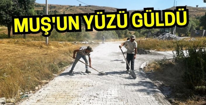 Muş'un yüzü güldü: Köyler modern yollara kavuştu!