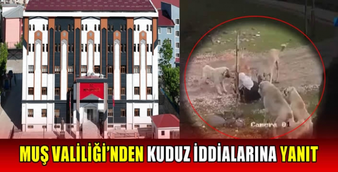 Muş Valiliği’nden kuduz iddialarına yanıt