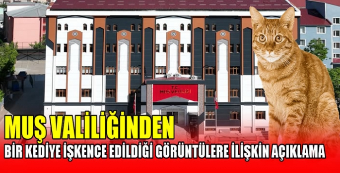 Muş Valiliğinden bir kediye işkence edildiği görüntülere ilişkin açıklama