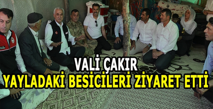 Muş Valisi Çakır yaylada konaklayan besicileri ziyaret etti